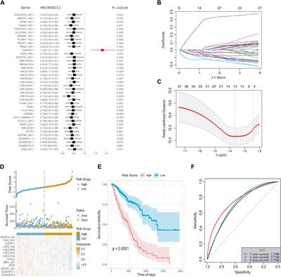 Prognostic markers of ferroptosis-related long non-coding RNA in lung adenocarcinomas